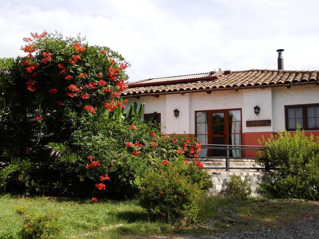 Casa Chueca - Divino Daire Talca  Oda fotoğraf